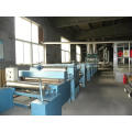 Flexible Graphite Sheet Production Line